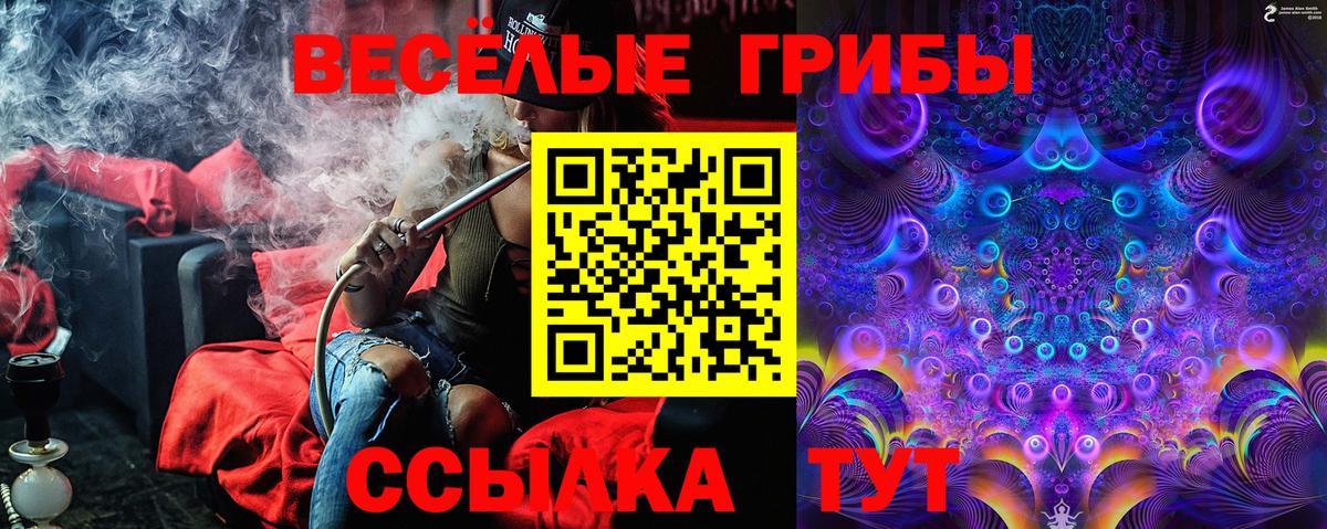 Рассказово  Галлюциногенные грибы Psilocybe  цена   Вход с VPN 