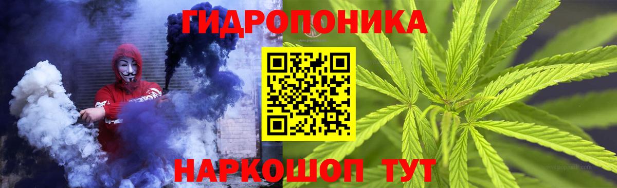 Конопля OG Kush Рассказово